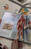 乐乐趣科普立体书：神秘微生物+人体（套装2册）3-6岁趣味科普3D立体翻翻书少儿机关书 实拍图
