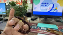 惠普（HP）K231小键盘 超薄无线蓝牙双模办公键盘 迷你便携键盘小尺寸 台式笔记本键盘 剪刀脚轻音企业采购 实拍图