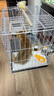 汪野君养猫新手套装猫砂盆铲喂食喂水器绒布猫窝猫砂用品组合基础四件套 实拍图