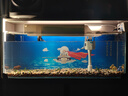 金利佳（Jeneca）鱼缸过滤器三合一吸水泵滤盒水族箱上滤上置循环过滤槽壁挂增氧 【大号白色四件套】适长55-82cm 实拍图