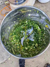 沃农赛德 碎菜机碎草机喂鸡鸭鹅猪养殖家用多功能电动瓜草蔬菜切菜打菜机 304不锈钢桶+1800W铜电机+4刀片 实拍图