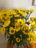 【七彩小雏菊】鲜切花混搭混色多头鲜花插瓶水养花期长七夕礼物 黄色小雏菊50CM5枝 实拍图