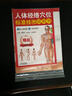 人体经络穴位标准挂图（男性）（3张）中医人体经络挂图 家庭保健养生医学 人体医学挂图 实拍图