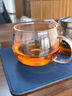 佳亿厨连 日式大容量冷水壶家用客厅玻璃壶凉水壶泡茶壶套装组合养生壶 杯子 实拍图