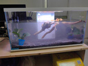 喜高超白玻璃鱼缸智能鱼缸免换水小型客厅水族箱一体式过滤氧气鱼缸 白-鱼缸+造景+加热棒 600*268*322mm 实拍图