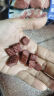 HELLOJOY 狗狗零食牛肉棒牛肉干条训狗奖励零食成犬幼犬 营养牛肉棒450g 实拍图
