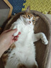 迈阿咪（miamormao）迈阿密猫罐头汤罐主食营养补水成猫幼猫零食湿粮骗水猫罐头 汤罐12罐:【鸭+鱼+鸡各4罐】 实拍图