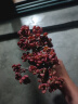 多肉组合盆栽阳台盆栽喜阳植物新手福利按图发货品种花卉好养 3年老桩红稚莲7-10头塑料盆栽好 实拍图