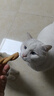 伊纳宝猫零食肉条宠物洁齿磨牙棒猫咪鸡肉海鲜双拼麻花零食猫条4条装 鸡汤金枪鱼鱼汤味4包 实拍图