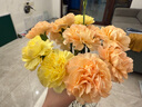 京东鲜花昆明产地仓康乃馨随机色10枝水养花生活鲜花节日云南直发 实拍图