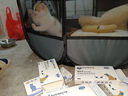乐卡利 猫产房猫咪待产狗怀孕猫窝封闭式帐篷宠物生育繁殖箱生产用品 小号 73x73x43 米白+灰 实拍图