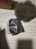 多肉植物精选图片品种发货照图办公室室内阳台桌面图片品种指定品 吸财树+红宝石+蓝苹果+桃蛋+盆土 实拍图