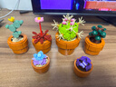乐高（LEGO）积木玩具 花植系列10329迷你盆栽模型 18岁+生日礼物圣诞礼物 实拍图