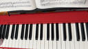 卡西欧（CASIO）电钢琴EPS130红色电子数码钢琴88键重锤初学单机+木琴架+礼包 实拍图