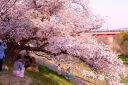腾龙（Tamron）B070X 17-70mm F/2.8 Di III-A VC RXD防抖大光圈富士微单镜头风光人像旅行（富士X口） 实拍图