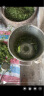 豫荥致富不锈钢碎菜机养殖喂鸡鸭鹅碎草机家用切草机粉碎机猪草碎草机桶式 304不锈钢碎菜机 1100W 送备用刀 实拍图