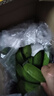 左格（ZUOGE）云南高山大香蕉10斤装 香甜软糯青蕉香蕉当季新鲜现砍水果整箱 精选带箱 5斤 青蕉发货 实拍图