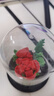 TaTanice玫瑰花积木花束永生花摆件儿童大颗粒拼装玩具送女朋友生日礼物 实拍图