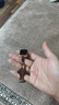 宝灿鳄鱼皮表带男女通用超薄圆纹手表链真皮适用天梭浪琴阿玛尼美度等 玫瑰金蝴蝶扣-鳄鱼皮棕色 20mm 实拍图