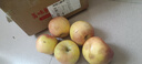 阿克苏苹果新疆阿克苏冰糖心苹果 时令苹果水果 丑苹果红富士 一级果80-95mm净重4.5-5斤 实拍图