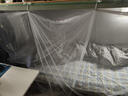 学生宿舍蚊帐下铺寝室上下铺加密防蚊文帐单人床高低架子床帐篷 白色加密蚊帐+蚊帐钩 90cm宽190cm长140cm高 实拍图