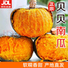 山东贝贝南瓜粉面粉糯宝宝蒸蛋辅食生鲜新鲜蔬菜减肥减脂早餐 贝贝南瓜 5斤 带箱小果 实拍图