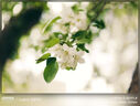 松下S5M2+（50mm F1.8） 白盒单镜头定焦套装  全画幅微单相机 约2420万有效像素 新相位混合对焦 实拍图
