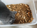猫掌柜冻干多拼猫粮高蛋白高营养美英短布偶加菲猫全猫期通用主粮 【40%冻干添加】肉松冻干巨无霸 5斤袋装【送补水猫条5支】 实拍图