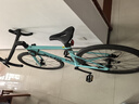 喜德盛（xds）AD300公路车自行车成人免安装20速油碟桶轴全隐藏走线车架ad300 青蛇 -开箱即骑 480mm|身高165~175cm 顺丰当日发 实拍图