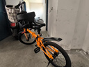 凤凰（Phoenix）可折叠自行车超轻便携放后备箱男女士成人上班学生儿童免安装单车 免安装/钢架【单速条轮橙】 20寸【参考身高145-175CM】 实拍图