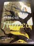 怦然心动: 精装纪念版（斯人若彩虹，遇上方知有！让王俊凯、肖战、龚俊、朱一龙、杨幂怦然心动的初恋故事） 小说 实拍图