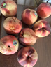 京鲜生 澳大利亚空运水蜜桃 8粒装 单果重130g+ 源头直发 一件包邮 实拍图