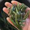 杭州千野西湖莼菜 利川莼菜嫩芽马蹄菜 300g*2瓶 | M级叶芽 实拍图