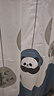 韩娜（Hanna）浴帘布浴室隔断帘洗澡帘免打孔套装卫生间窗帘门帘淋浴防水防霉 文艺熊猫（保暖防水-防霉不透） 单帘180宽*200高+挂环（不含杆） 实拍图