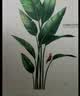 欧仕图（OUSHITU）ins墙贴自粘 清新植物墙壁装饰贴画客厅卧室墙面布置贴纸走廊墙纸 舒心一角（超大） 实拍图
