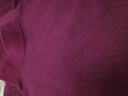AB内衣纯棉大码男半高领秋衣棉毛衫全棉透气打底上衣T667 酒红色 XL 实拍图