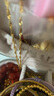 明牌珠宝足金黄金浪漫星恋系列手链女刘涛同款送老婆生日礼物工费150 约17+2厘米 约3.04克 月亮手链AFK0037 实拍图