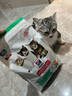 希尔思Hill‘s幼猫粮3.5磅 希尔斯猫粮进口幼年期全价猫主粮1-4月12月 幼猫3.5磅全新升级款 实拍图