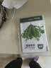 北蔬 荠菜种子苗野外散叶大叶四季蔬菜种籽 北蔬农家荠菜种子10gx3包 实拍图