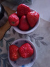 青浦红颜草莓500g（单果均重20g+） 实拍图