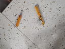 佳之钓绑钩器手动鱼钩绑勾器子线打结器绑线器拴钩器垂钓配件 实拍图