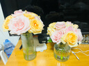 花瓶插花水养玻璃高颜值手工大口径花瓶客厅卧室摆件 大肚竖条纹花瓶1个装 实拍图