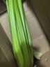 京鲜生山东榨汁大西芹新鲜蔬菜净重2斤单颗800g+源头直发包邮 实拍图