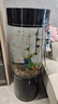 可丽爱（CLEAIR）Cleair可丽爱LS-Y1椭圆Y2圆柱鱼缸水族箱客厅家用亚克力鱼缸 LS-Y2圆柱 黑色*城区送货入户 LS-Y2(智能遥控,变色LED灯)直径48圆柱 晒单实拍图