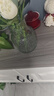 玻璃花瓶透明植物插花瓶水培容器大花瓶装饰客厅学生宿舍摆件 锥形花瓶2个装（图案各一） 实拍图