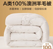 博洋家纺 A类抑菌100%澳洲进口羊毛被被芯 加厚冬被子 5.2斤150*210cm 实拍图
