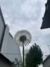 红袖【蝴蝶之舞】端庄大气连衣裙夏季2025新款女装收腰方领显瘦碎花裙 米底黑花670 L 实拍图