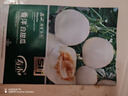 寿禾 白皮甜瓜种子种苗白肉香瓜水果种籽 潍育香洋白甜瓜种子20粒*3袋 实拍图