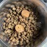 海洋之星 宠物酸奶猫狗零食牛奶冻干奶酪棒益生菌0乳糖宠物伴侣 奶酪冻60g 实拍图