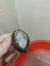 石界·水晶谷缅甸玉石 翡翠原石 黑乌沙会卡后江老坑场口全赌练手料蒙头公斤 101-200g 实拍图